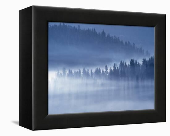 Mist Hiding Trees Above the Little Spokane River Valley-Bob Rowan-Framed Premier Image Canvas