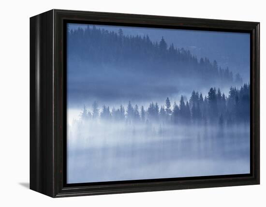 Mist Hiding Trees Above the Little Spokane River Valley-Bob Rowan-Framed Premier Image Canvas