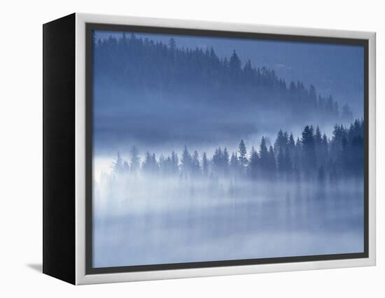 Mist Hiding Trees Above the Little Spokane River Valley-Bob Rowan-Framed Premier Image Canvas