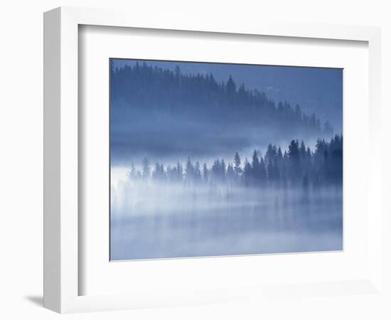 Mist Hiding Trees Above the Little Spokane River Valley-Bob Rowan-Framed Photographic Print