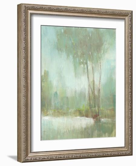 Mist in the Glen II-Tim O'toole-Framed Art Print