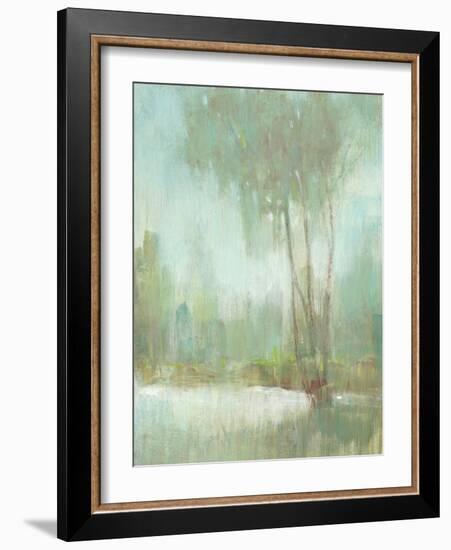 Mist in the Glen II-Tim O'toole-Framed Art Print