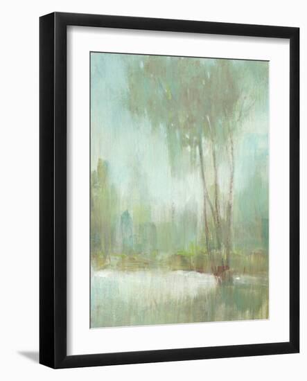 Mist in the Glen II-Tim O'toole-Framed Art Print