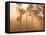 Mist in Tropical Rainforest, Thailand-Gavriel Jecan-Framed Premier Image Canvas