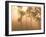 Mist in Tropical Rainforest, Thailand-Gavriel Jecan-Framed Photographic Print