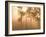 Mist in Tropical Rainforest, Thailand-Gavriel Jecan-Framed Photographic Print