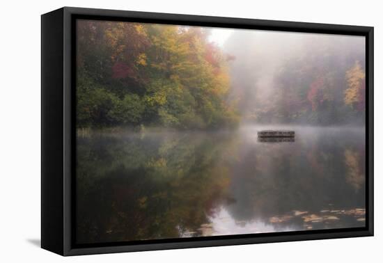 Mist on the Lake-Danny Head-Framed Premier Image Canvas