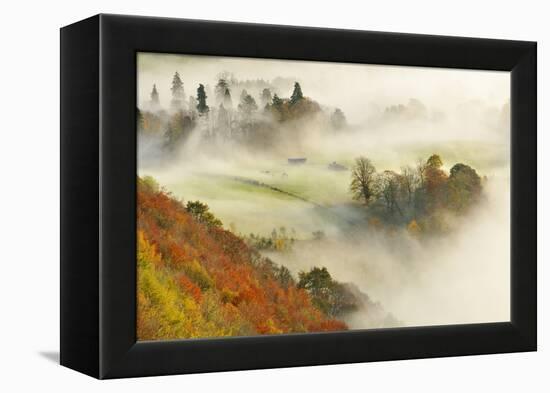 Mist over a Mixed Woodland in Autumn. Kinnoull Hill Woodland Park, Perthshire, Scotland, November-Fergus Gill-Framed Premier Image Canvas