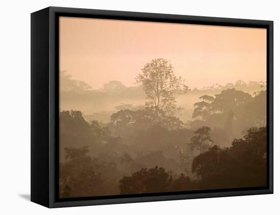 Mist over Canopy, Amazon, Ecuador-Pete Oxford-Framed Premier Image Canvas