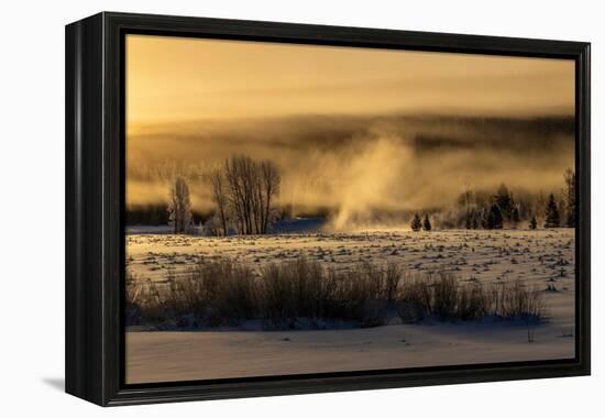 Mist rises from the Snake River on a cold morning, Wyoming-Tim Laman-Framed Premier Image Canvas