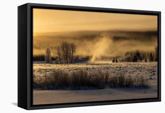 Mist rises from the Snake River on a cold morning, Wyoming-Tim Laman-Framed Premier Image Canvas