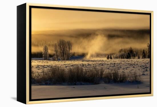 Mist rises from the Snake River on a cold morning, Wyoming-Tim Laman-Framed Premier Image Canvas