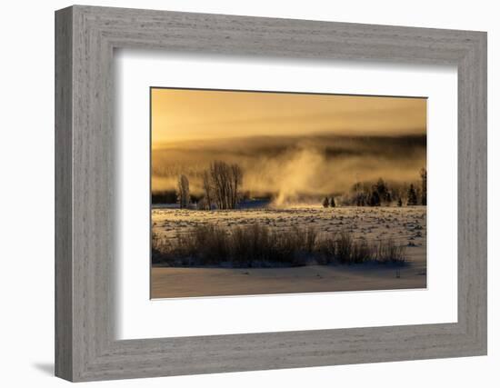 Mist rises from the Snake River on a cold morning, Wyoming-Tim Laman-Framed Photographic Print