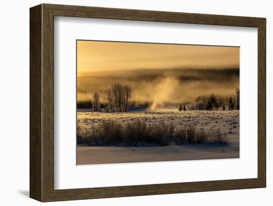 Mist rises from the Snake River on a cold morning, Wyoming-Tim Laman-Framed Photographic Print