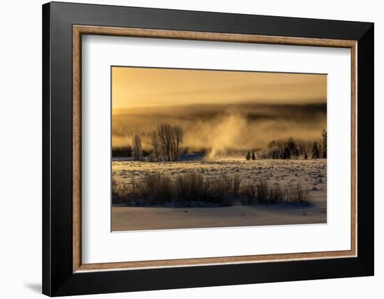 Mist rises from the Snake River on a cold morning, Wyoming-Tim Laman-Framed Photographic Print