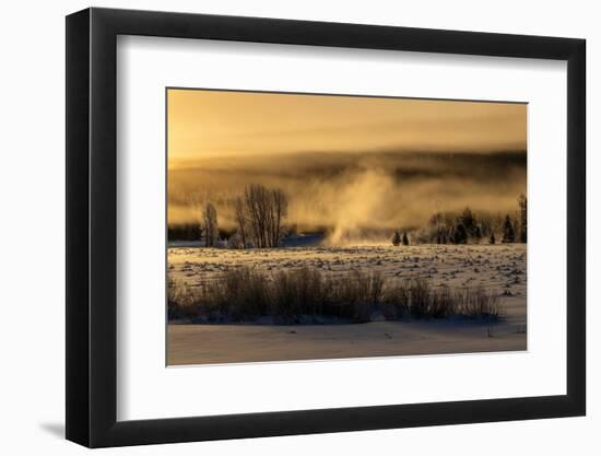 Mist rises from the Snake River on a cold morning, Wyoming-Tim Laman-Framed Photographic Print