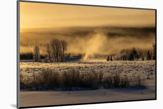 Mist rises from the Snake River on a cold morning, Wyoming-Tim Laman-Mounted Photographic Print