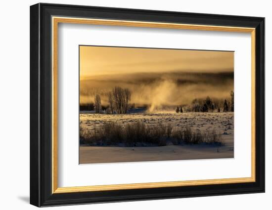 Mist rises from the Snake River on a cold morning, Wyoming-Tim Laman-Framed Photographic Print