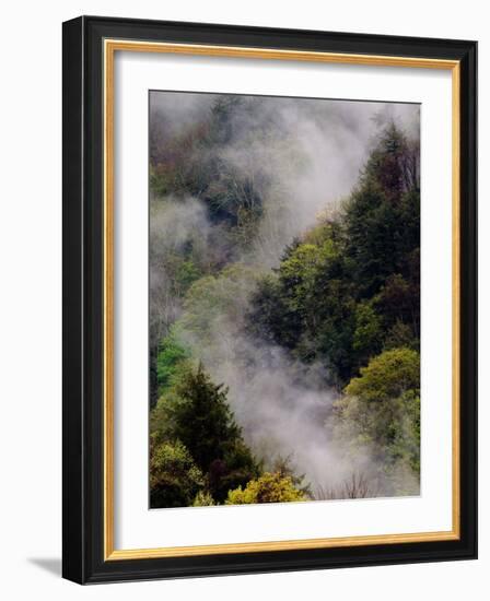 Mist Rising After Spring Rain in the Great Smoky Mountains National Park, Tennessee, USA-Adam Jones-Framed Photographic Print