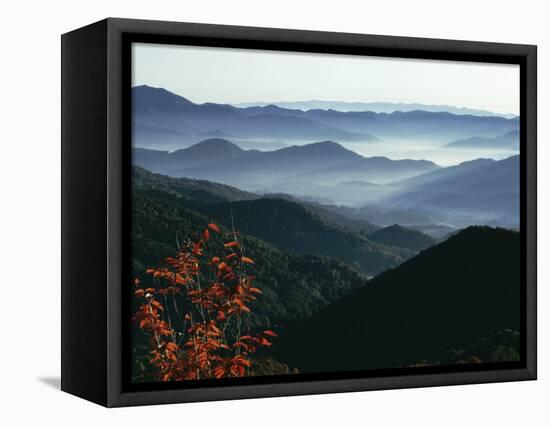 Mist Rising from the Cataloochee Ski Area, Near Maggie Valley, North Carolina, USA-Julian Pottage-Framed Premier Image Canvas