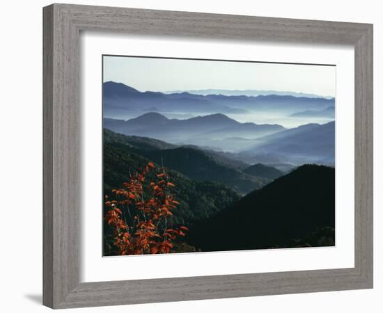 Mist Rising from the Cataloochee Ski Area, Near Maggie Valley, North Carolina, USA-Julian Pottage-Framed Photographic Print