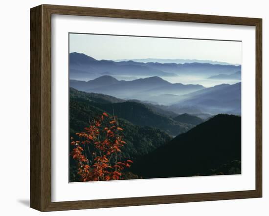 Mist Rising from the Cataloochee Ski Area, Near Maggie Valley, North Carolina, USA-Julian Pottage-Framed Photographic Print