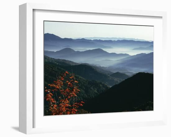 Mist Rising from the Cataloochee Ski Area, Near Maggie Valley, North Carolina, USA-Julian Pottage-Framed Photographic Print