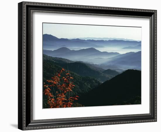 Mist Rising from the Cataloochee Ski Area, Near Maggie Valley, North Carolina, USA-Julian Pottage-Framed Photographic Print