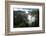 Mist through the trees in equatorial rainforest, Gabon-Sergio Hanquet-Framed Photographic Print