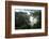 Mist through the trees in equatorial rainforest, Gabon-Sergio Hanquet-Framed Photographic Print