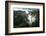 Mist through the trees in equatorial rainforest, Gabon-Sergio Hanquet-Framed Photographic Print