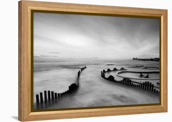 Mist-PhotoINC-Framed Premier Image Canvas