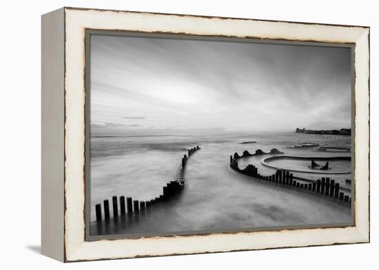 Mist-PhotoINC-Framed Premier Image Canvas