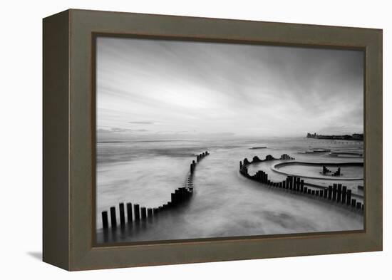 Mist-PhotoINC-Framed Premier Image Canvas