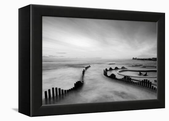Mist-PhotoINC-Framed Premier Image Canvas
