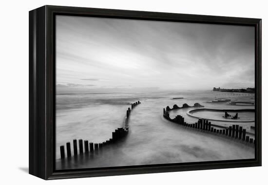 Mist-PhotoINC-Framed Premier Image Canvas