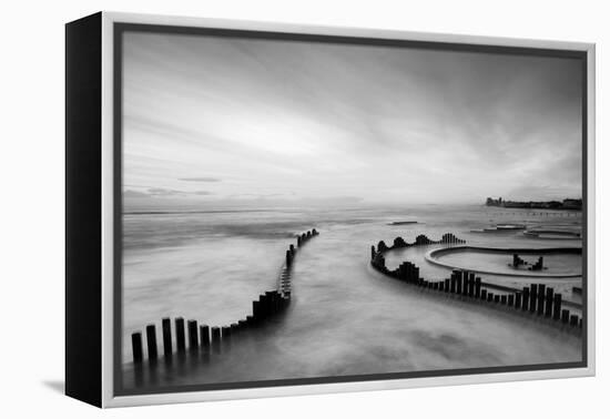 Mist-PhotoINC-Framed Premier Image Canvas