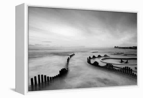 Mist-PhotoINC-Framed Premier Image Canvas