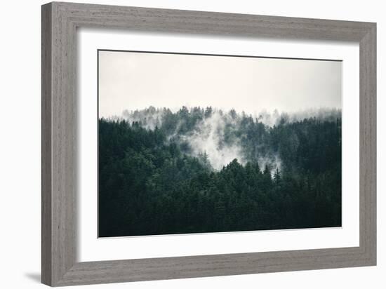 Misted Forest-Irene Suchocki-Framed Giclee Print