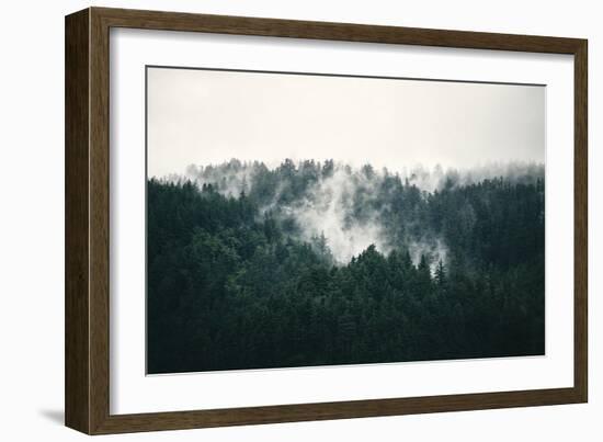 Misted Forest-Irene Suchocki-Framed Giclee Print