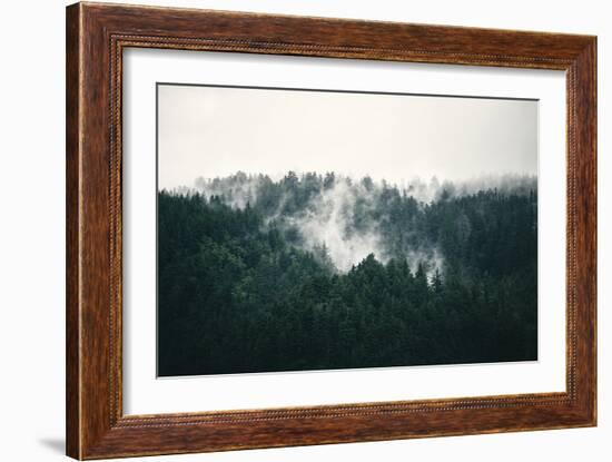 Misted Forest-Irene Suchocki-Framed Giclee Print