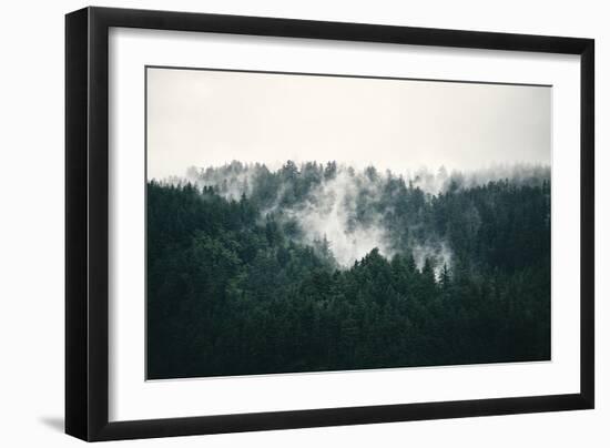 Misted Forest-Irene Suchocki-Framed Giclee Print