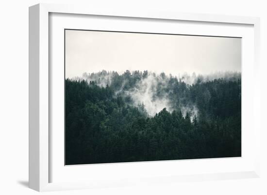 Misted Forest-Irene Suchocki-Framed Giclee Print