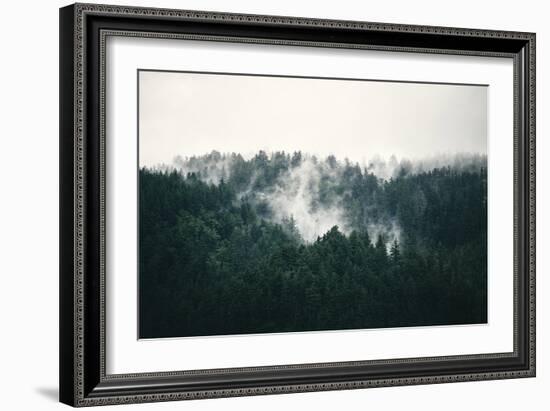 Misted Forest-Irene Suchocki-Framed Giclee Print