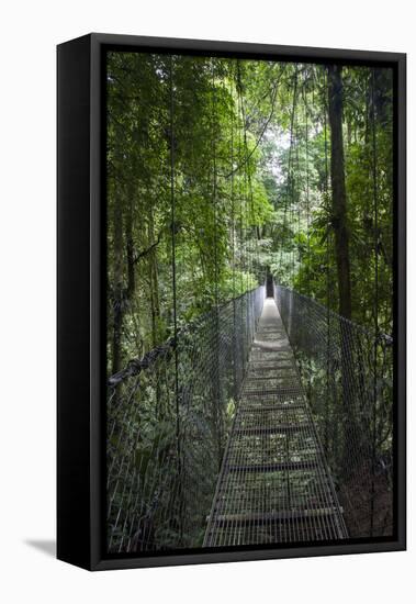 Mistico Arenal Hanging Bridges Park in Arenal, Costa Rica.-Michele Niles-Framed Premier Image Canvas