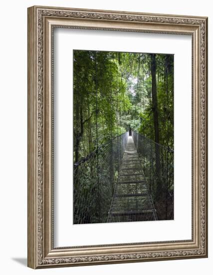 Mistico Arenal Hanging Bridges Park in Arenal, Costa Rica.-Michele Niles-Framed Photographic Print