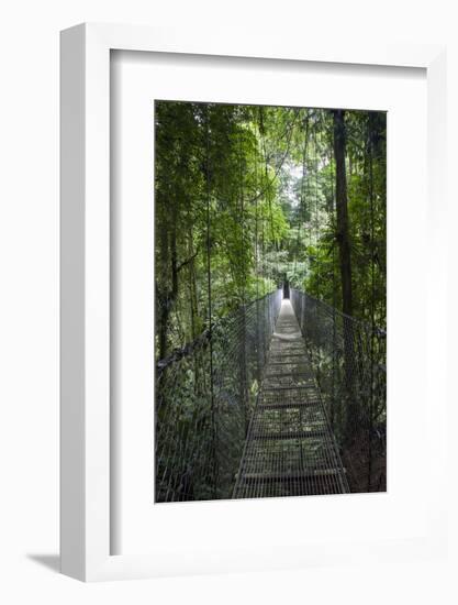 Mistico Arenal Hanging Bridges Park in Arenal, Costa Rica.-Michele Niles-Framed Photographic Print