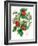 Mistletoe and Holly Wreath-Nell Hill-Framed Giclee Print