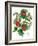 Mistletoe and Holly Wreath-Nell Hill-Framed Giclee Print