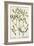 Mistletoe from A Curious Herbal, 1782-Elizabeth Blackwell-Framed Giclee Print